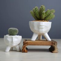 LangRay White Ceramic Flower Planter Succulent Planter Pots Creative Modern Style Succulent Pots Artistic Face Shape Ceramic Cactus Bonsai Planter Pot