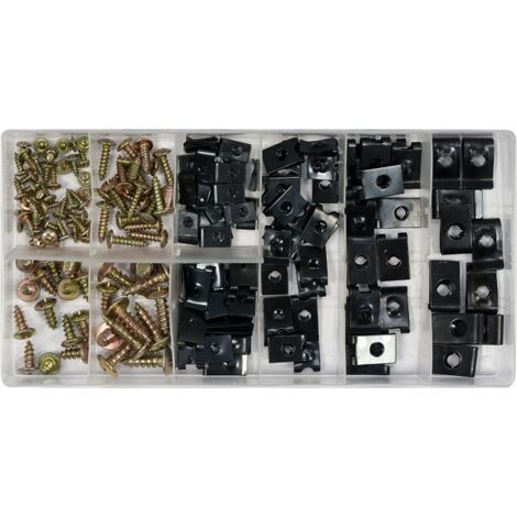 Kit de fixations de carrosserie – 170 pièces, galvanisées et brunies, avec boîte de tri (1/5)