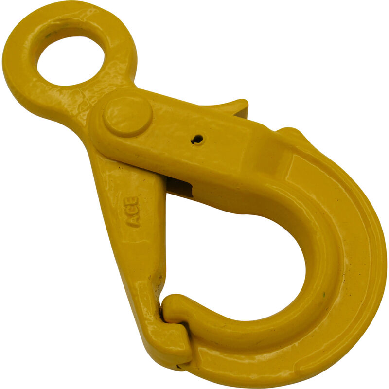 2ton G80 Eye Self-locking Safety Hook Industrial Grade Lifting