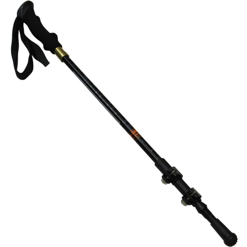 Nordic walking 2024 sticks argos