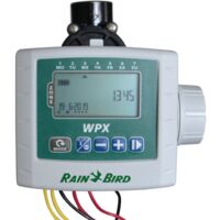 Rain Bird – Programmateur arrosage à batterie 9V – Électrovanne 1" – 4 programmes – Gestion automatique irrigation jardin