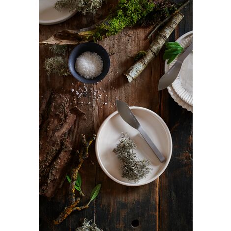 F. DICK Pure Metal Ajax Steakgabeln 4-tlg - Hochwertige Tafelgabeln Aus Edelstahl