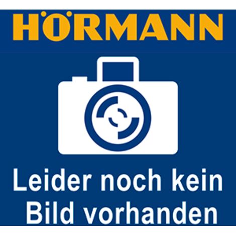 Hörmann LAN-Adapter für homee Brain System geeignet, Zubehör für Smart Home