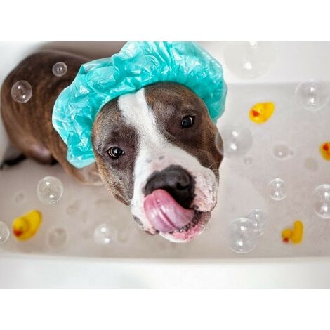 Produktbild von Bürsten Für Hunde Mit Empfindlicher Haut - Hundepflege - Groomer - Zubehör