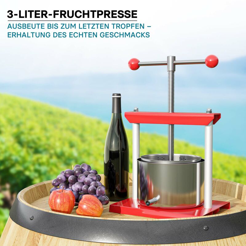 Estrattore Manuale Per Cera E Succhi In Acciaio Inox - Con 3 Filtri Per Miele, Vino E Frutta