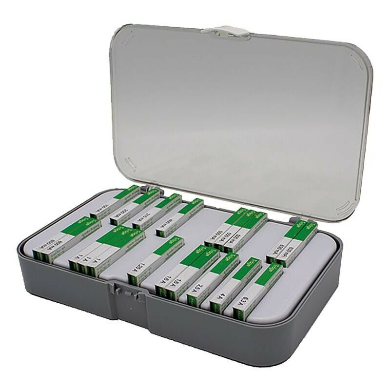 Lot De 10 Fusibles à Action Lente T1AL250V - 1A, 250V, 5x20 Mm - Pour Appareils électroniques