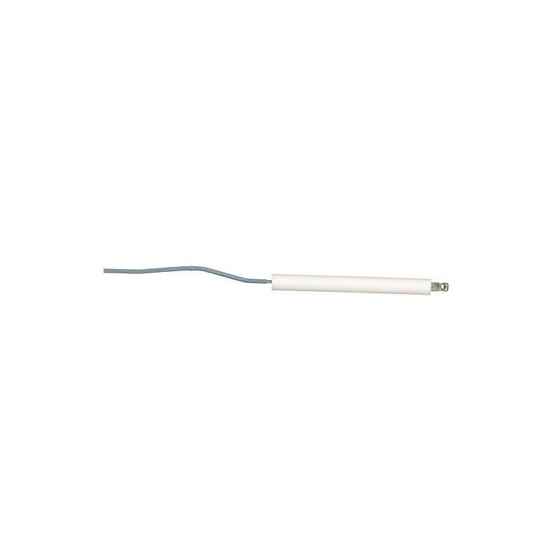 Électrode D'ionisation Weishaupt Wtc45-60-a - Réf 48140130082 - Neuf