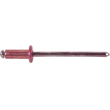 Rivet aveugle cuivre/acier Tete plate Ø 3x6mm, UE 500 pcs (1/3)