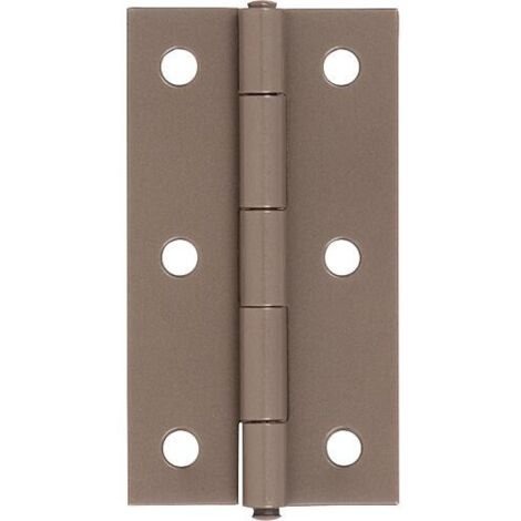 Charnière DURAVIS® 80 x 40 x 1,25 mm, matériau : Acier, bleu galvanisé, , surface : beige nacré RAL 1035, avec tige en acier (1/3)