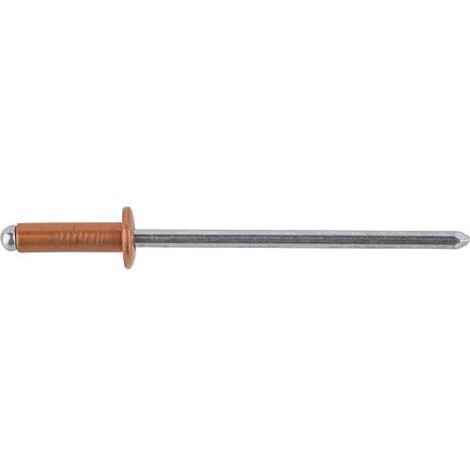 Rivet aveugle cuivre/acier Tete plate Ø 3x10mm, UE 500 pcs (1/3)