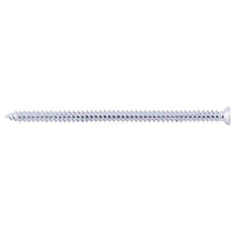 Fischer 100x vis pour châssis de fenêtre FFS 7,5 x 302 mm T30 tête plate - 532946