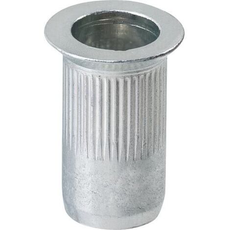 Ecrous aveugles Gesipa acier tête fraisée moletée moletée M 10 x 12 x 19 100 pièces (1/3)