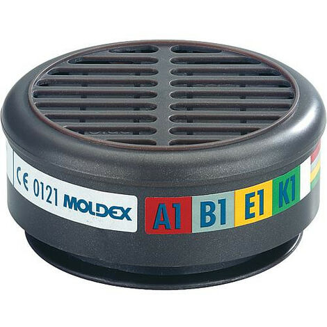 Filtre multiple A1B1E1K1 masque serie 8000 Emballage 1 paire BG