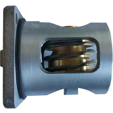 Insert thermostatique TM3000 Température 63°C (1/2)