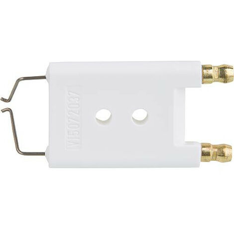 Bloc électrode Viessmann DIFF - Référence 7810142/7810713, Neuf Sous Emballage