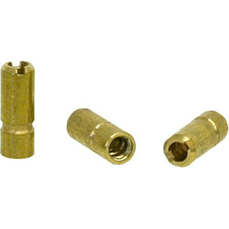 accessoire transfo d allumage WS pointe d adaptateur 1 piece (1/2)