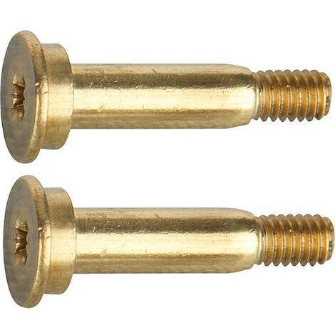 Vis à manette Ideal Standard M4 x 23,5 mm