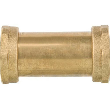 Termobac DB 40 double action anti-retour, Rp 11/2" (1/2)
