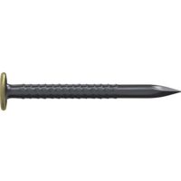 Clou d'image Home Classic avec tête en laiton 2,0 x 20 mm