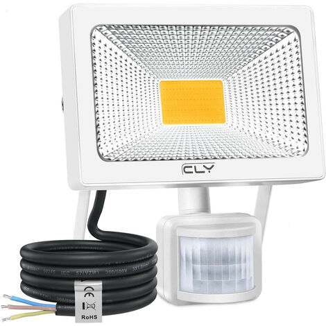 Projecteur LED 10W-100W avec Capteur Floodlight  Extérieur Jardin Spotlight IP65 