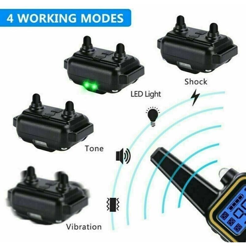 Migliori Collare Per Cani Con Scossa Elettrica (con Recensioni