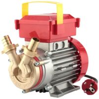 ELETTROPOMPA POMPA TRAVASO ELETTRICA ROVER 20 CE VINO E LIQUIDI IN LEGA E BRONZO