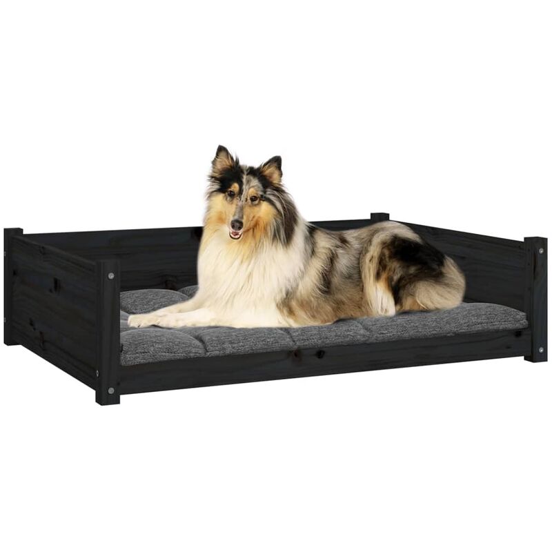 EASYCOMFORT Brandina Lettino per Cani in Metallo e Tessuto Oxford con Sacca  di Trasporto, 122x92x23cm, Marrone e Nero