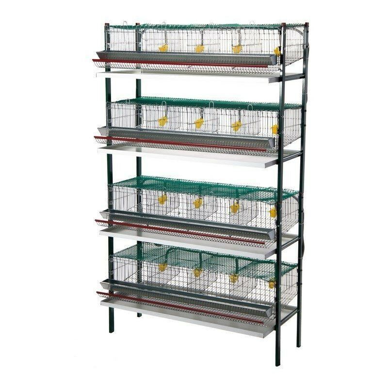 GABBIA OVAIOLE CM.120x57x H88,5 3 SCOMPARTI - Cage System