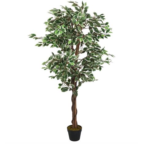 RELAX4LIFE Set di 2 Piante Finte da Interno ed Esterno,Bosso Artificiali  55cm di Altezza, Albero Finto Realistico con Frutti Arancioni per  Decorazione Domestica (Bosso)