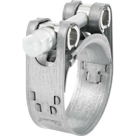 Collares de apriete con perno articulado M 49/20SK W2 47-51 mm (por 50) (1/4)