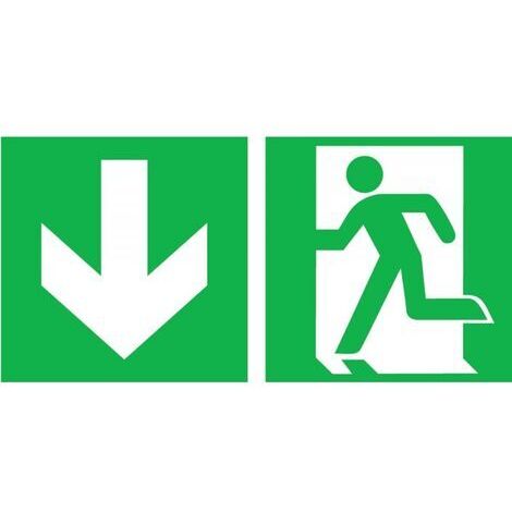 Placa de salvamento Salida de emergencia izquierda con flecha de dirección hacia delante 300 x 150 (1/2)
