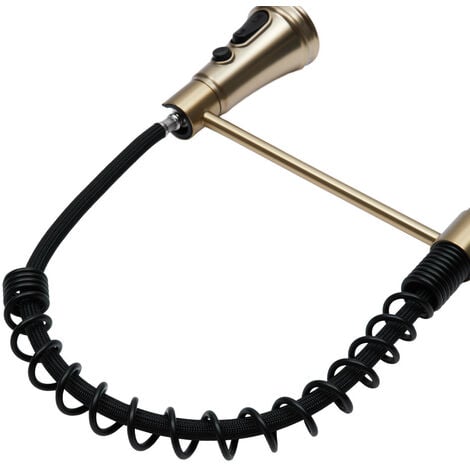 Prerinse Pull Down Swivel Kitchen Faucet,Black and Gold