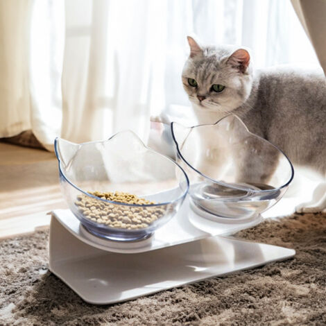15° Tilted Elevated Feeder with Double Cat Bowls (1/5)