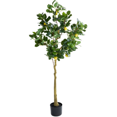 Artificial Camellia Leaf New Lemon Tree Potted Plant Home Decoration 71cm W x 158cm H (1/5)
