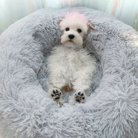 Light Grey Round Cat Dog Cushion Faux Fur Fluffy Shaggy Sheepskin Pet Bed, 50CM