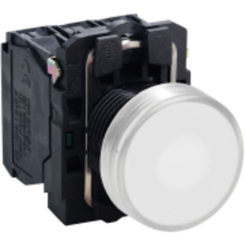 Lampadina a Led E27 R80 - 12W - 230Vac - Bianco caldo