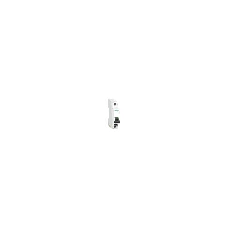 Acti9 C60H-DC - disjoncteur modulaire - 1P - 40A - courbe C  - A9N61517