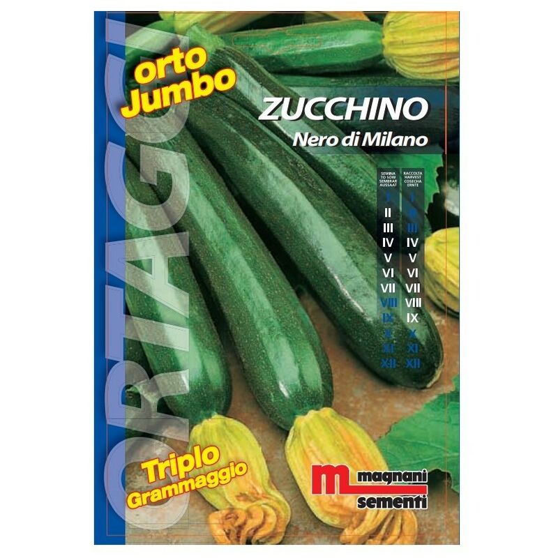 Semi di Zucchino Nero di Milano Orto Jumbo