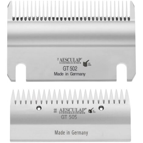 Toelettatura Animali Domestici: I Rischi Da Evitare | Il Salvagente - Foto 2