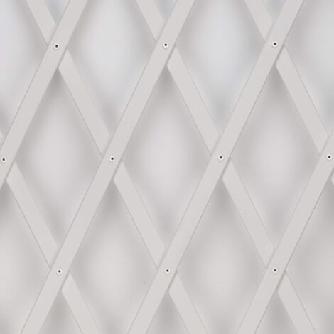 Traliccio Treplast Bianco 1x3 m Tenax (1/4)