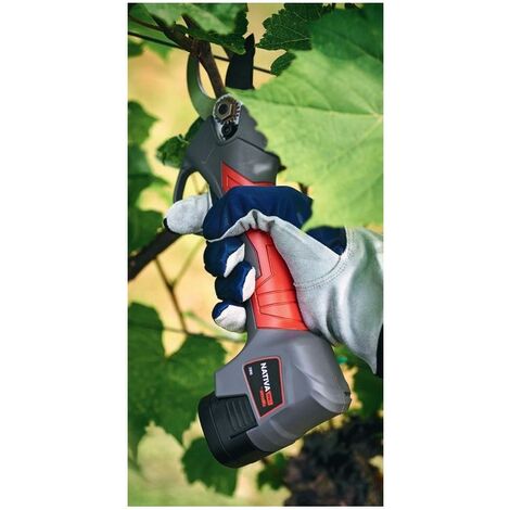 AUSONIA Forbice Elettrica Potatura Nativa Small 31810 a Batteria al Litio :  : Giardino e giardinaggio