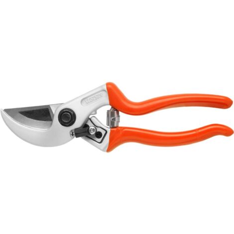 Forbici ad incudine professionali da 21 cm per stocker
