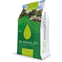 Sementi Per Tappeto Erboso Sunny 1/5/15 kg EMERALD - size 5 Kg