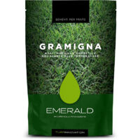 Sementi Per Tappeto Erboso Sunny 1/5/15 kg EMERALD - size 15 Kg