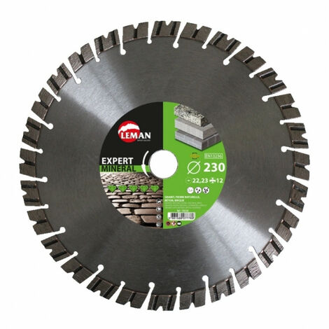 Leman - Disque diamant segments granit, pierre naturelle Diam 350 x 20 x H 12 mm (1/6)