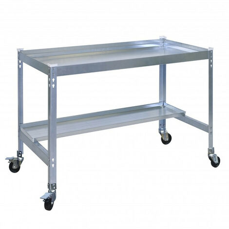 Simon Rack Table de préparation jardinage couleur argentée