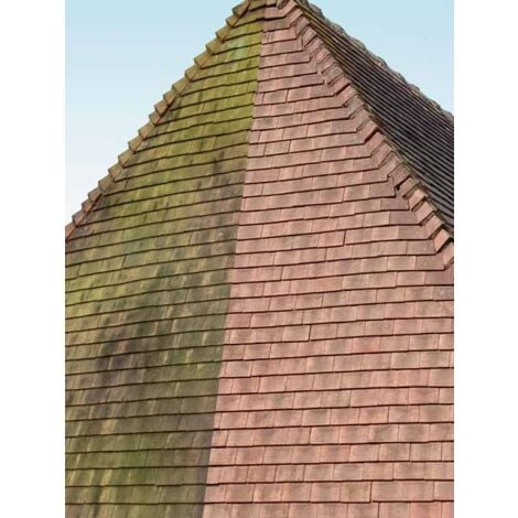 Bidon de 5L Fongicide DALEP UC traitement ultra concentré pour 250m² sans odeur
