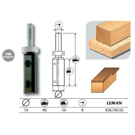 Leman - Mèche d'affleureuse plaquettes réversibles q.8 + guidage supérieur - 838.700.50 (1/4)