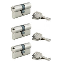Lot de 3 cylindres de serrure Thirard STD double entrée 30x30mm 9 clés nickelé