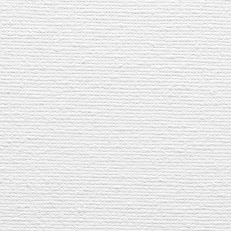 Artina Set de 5 lienzos Blancos de 100% algodón con bastidores robustos 50x100 cm Calidad Akademie 280g/m² 